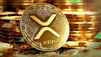 ریپل در انتظار قوانین جدید؛ آیا XRP در این ماه به ۱۰ دلار خواهد رسید؟