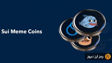 ستارههای نوظهور شبکه سویی؛ این ۵ میمکوین را در ماه می زیر نظر بگیرید!
