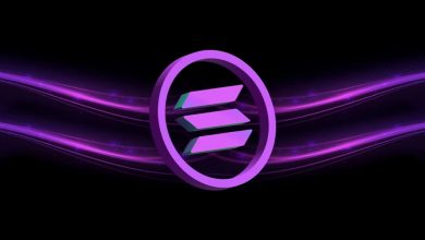 سولانا حمایت شد؛ تحلیل قیمت SOL و بررسی نواحی کلیدی