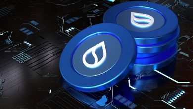 سویی به جمع ۵ بلاکچین برتر دیفای صعود کرد! قیمت SUI در آستانه جهش جدید؟