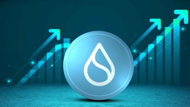 سویی قدرتمندتر از همیشه؛ رشد ۵۰ درصدی SUI ممکن است؟