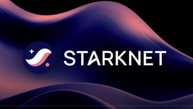 ظهور نشانه‌های صعودی در دل بازار نزولی استارک‌نت؛ قیمت STRK به کدام سمت می‌رود؟