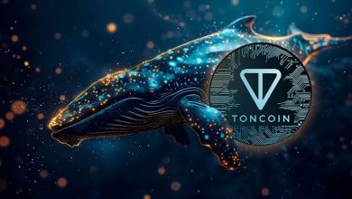 قیمت تون کوین (TON) آماده انفجار؛ نهنگها وارد بازی شدند!