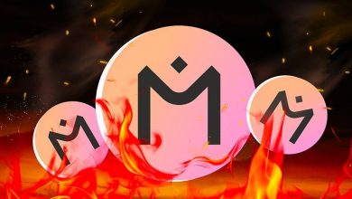 مدیرعامل مانترا وارد عمل شد؛ سوزاندن ۳۰۰ میلیون توکن OM برای نجات پروژه!