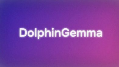 هوش مصنوعی جدید «گوگل»، گفتار دلفینها را رمزگشایی میکند