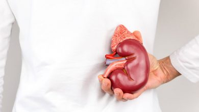 ۷ عادت روزانه که کلیههای شما را به خطر میاندازند