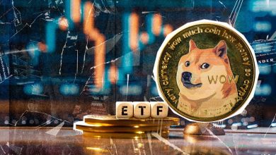 آغاز بررسی ETF دوجکوین توسط کمیسیون بورس آمریکا؛ قیمت DOGE اوج گرفت!