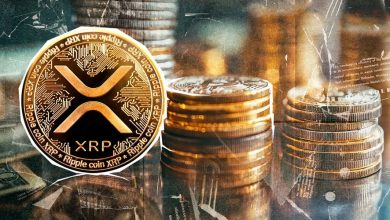 بازار ریپل در تب و تاب؛ اطلاعیه مهم صرافی بیت‌مکس برای XRP در راه است!