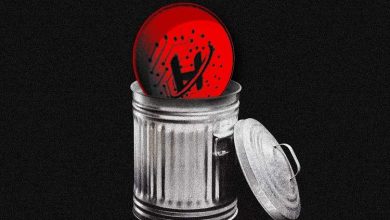 بازار ۲۷ میلیارد دلاری «هائووانگ» با دخالت تلگرام نابود شد