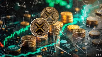 تایید ETF و ذخیره استراتژیک، محرک رشد ریپل؛ از رالی XRP به ۲۰ دلار جا نمانید!