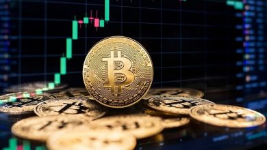 تثبیت بیتکوین در ۱۰۳ هزار دلار؛ اوج سوددهی با رضایت ۹۷ درصدی هولدرها!