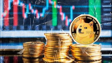 جهش ۵۳۰ درصدی آدرسهای فعال دوجکوین؛ سرمایهگذاران نهادی هم وارد بازی شدند!