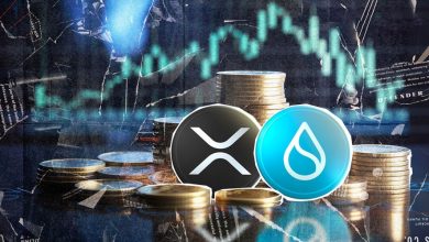 جهش SUI و عقب ماندن XRP؛ چرا سرمایهگذاران نهادی سویی را انتخاب کردند؟