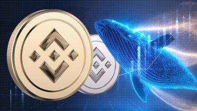 حرکت دوگانه نهنگ‌ها در بازار BNB؛ هشداری برای فروش یا فرصتی برای خرید؟