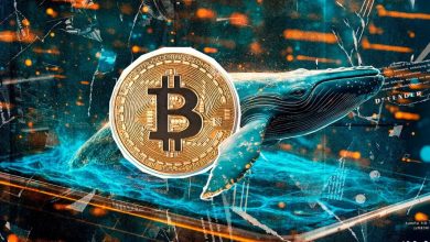 خرید نهنگها در برابر فروش معاملهگران خرد؛ این تضاد چه پیامی برای بازار دارد؟