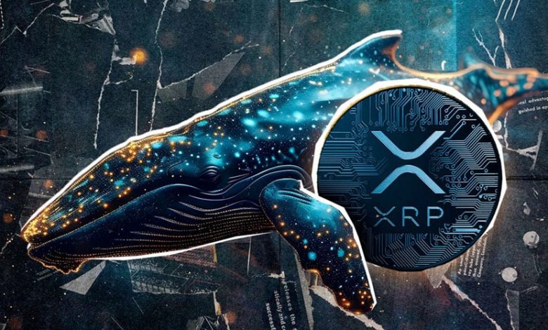 ریپل در آستانه بازگشت به اوج؛ نهنگها ۲۰۰ میلیون XRP را انباشت کردند!