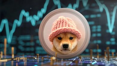 سگ کلاهدار به دنبال فتح قلههای جدید؛ رالی ۱۸۶ درصدی WIF را از دست ندهید!