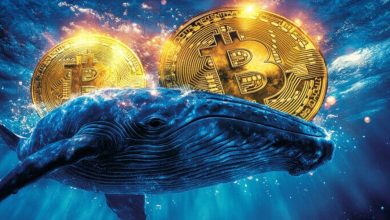 شرطبندی میلیاردی نهنگ بیتکوین با اهرم ۴۰ برابر؛ پایان این ماجراجویی چطور رقم خورد؟