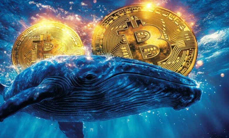 شرطبندی میلیاردی نهنگ بیتکوین با اهرم ۴۰ برابر؛ پایان این ماجراجویی چطور رقم خورد؟