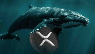 شرط‌بندی ۶ میلیون دلاری نهنگ‌ بزرگ روی ریپل! قیمت XRP آماده انفجار است؟