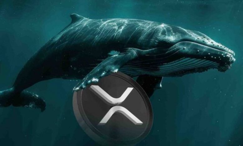 شرطبندی ۶ میلیون دلاری نهنگ بزرگ روی ریپل! قیمت XRP آماده انفجار است؟