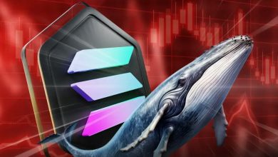 فروش سنگین نهنگها و دادههای آنچین نزولی؛ حمایت ۱۴۰ دلاری SOL از دست میرود؟