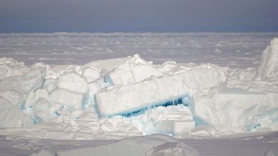 معجزه فناوری در قطب شمال: آیا پمپاژ آب دریا می‌تواند یخ‌های قطبی را نجات دهد؟