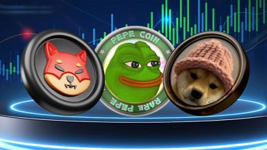 میمکوینها از نظارت SEC خارج شدند؛ نکاتی که سرمایهگذاران باید بدانند!