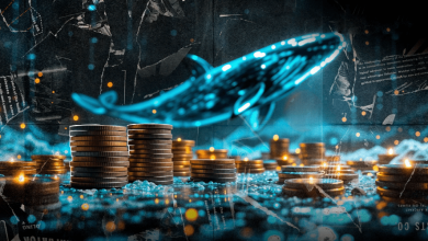 نهنگ‌ها این ۳ توکن را با سرعت بالا انباشت می‌کنند؛ آماده‌باش برای رالی گاوی!