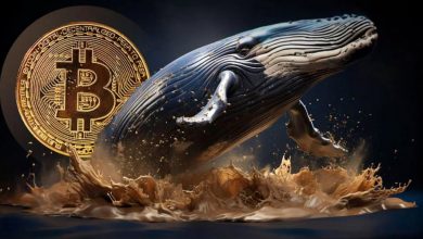 نهنگهای جدید کنترل بیتکوین را در دست گرفتهاند! تحلیل قیمت و روند آینده بازار
