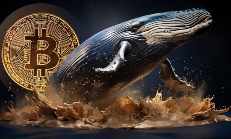 نهنگهای جدید کنترل بیتکوین را در دست گرفتهاند! تحلیل قیمت و روند آینده بازار
