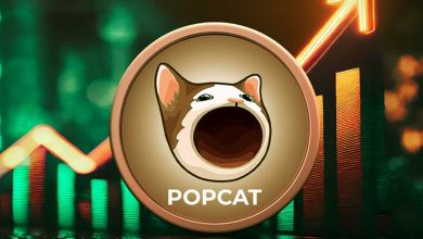 پاپ کت (POPCAT) در آستانه شکستن مقاومت تاریخی!