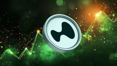 پوزیشن لانگ ۴۰x بیت‌کوین، محرک رالی هایپرلیکویید! قیمت HYPE به ۱۰۰ دلار می‌رسد؟