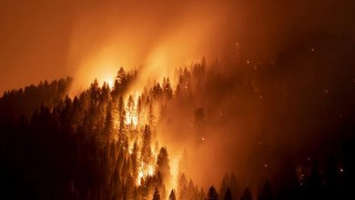 چهار اپلیکیشن برتر ردیابی آتشسوزی با بالاترین امتیاز (آیفون و اندروید)