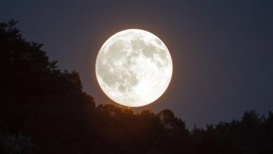 کشف رازهای درونی ماه در یک مهرهٔ شیشهای کوچک