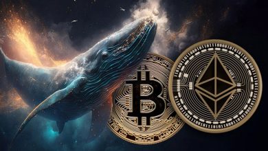 کوچ نهنگ بزرگ بیت‌کوین به بازار اتریوم؛ ۵۶۱ میلیون دلار ETH انباشت شد!