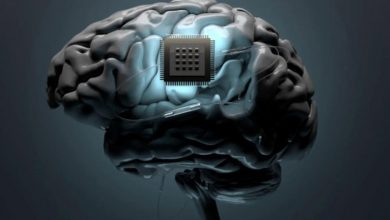 آزمایش دانشمندان چینی؛ استفاده از تراشه مغزی برای کنترل عاملهای هوش مصنوعی