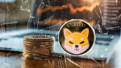 آیا شیبا اینو پس از سقوط سنگین آماده جهش است؟ تحلیل و پیشبینی قیمت SHIB