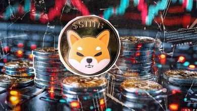 افزایش حجم معاملات SHIB به بالاترین سطح ۵ ماه اخیر؛ بازگشت به مسیر صعود؟