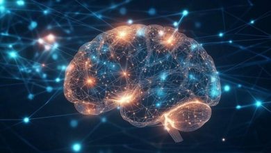 امضای مغزی مشترک در ژنهای متفاوت اوتیسم