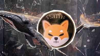 انباشت ۱۰ تریلیون شیبا توسط نهنگها؛ پایان روند نزولی SHIB فرا رسیده؟