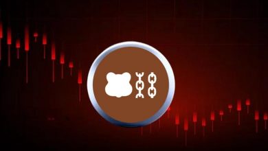 براچین در آستانه فروپاشی؟ کاربران ۱.۲ میلیارد دلار از سرمایه خود را خارج کردند!