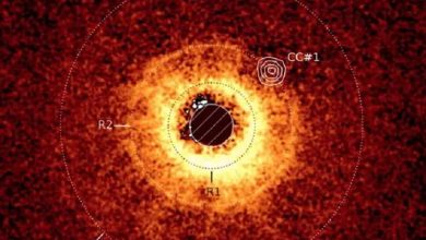 تصویر مستقیم از سیاره‌ای در ۱۱۰ سال نوری دورتر؛ موفقیت تاریخی جیمز وب