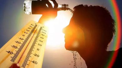 ثبت رکوردهای جدید دما در پنج سال آینده