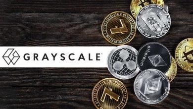 حذف OP و LDO از فهرست برتر گری‌اسکیل؛ کدام توکن‌ها در معرض توجه قرار گرفتند؟