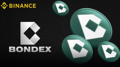 رمزارز جدید باندکس رکورد سقوط را شکست! علت ریزش ۹۱ درصدی BDXN چه بود؟