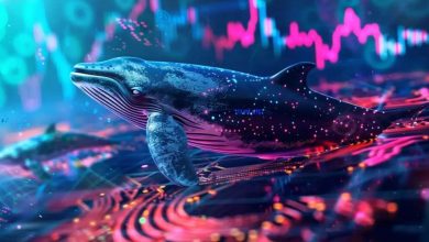 سقوط سنگین نهنگ بزرگ کریپتو؛ از سود ۸۵ میلیون دلاری تا لیکوییدیشن کامل!