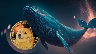 سیگنال نزولی برای دوجکوین؛ ۶۰ میلیون دلار DOGE به کوینبیس ارسال شد!