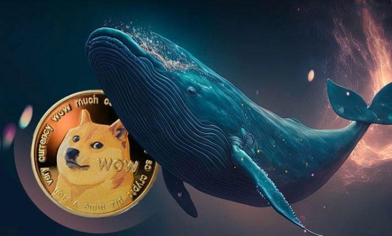 سیگنال نزولی برای دوجکوین؛ ۶۰ میلیون دلار DOGE به کوینبیس ارسال شد!