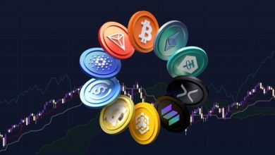 مقایسه آلتسیزن سالهای ۲۰۱۷ و ۲۰۲۵؛ آلتکوینهای طلایی این چرخه کدامند؟